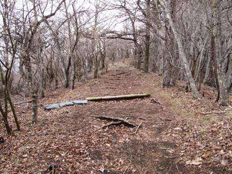 20181205hike (227)